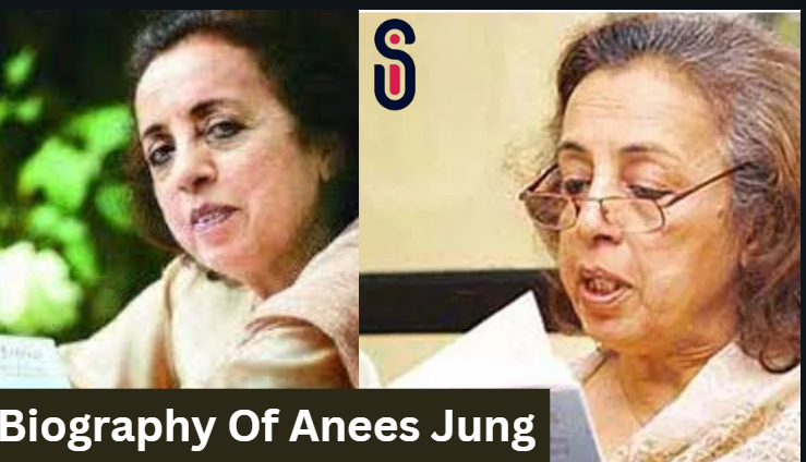 Biography Of Anees Jung: Parents, Age, Mother Name, Birth Place