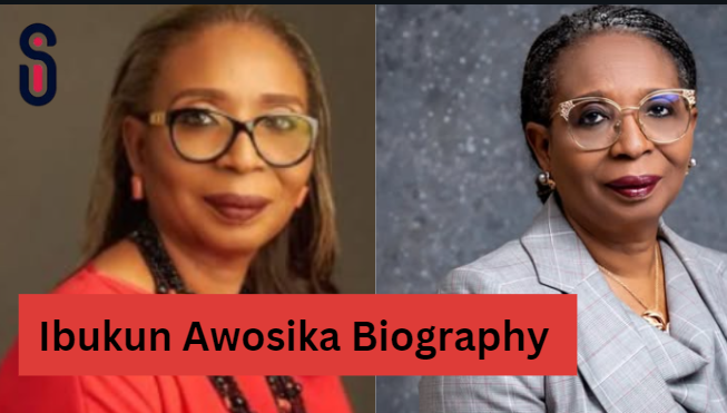 Ibukun Awosika Biography: Age, Husband, Net Worth, Education